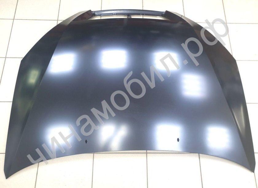 Капот на Джили Вижн