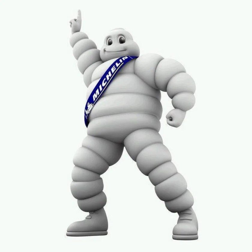 Шины Michelin Маскот