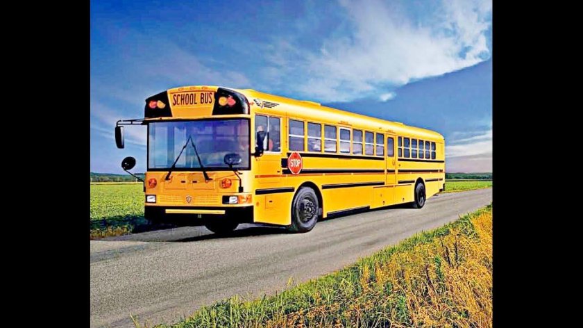 ЛИАЗ скотовоз