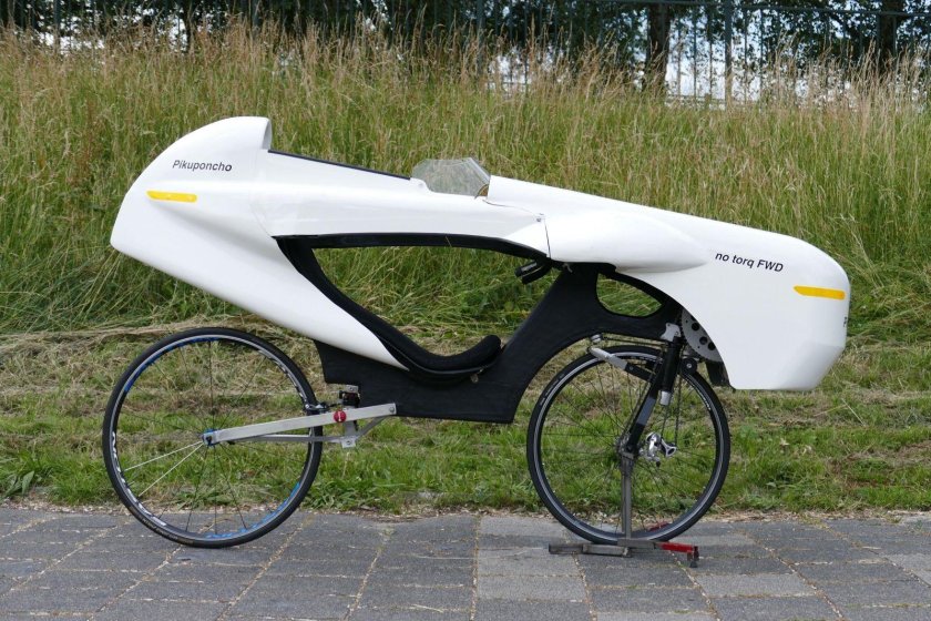 Лигерад белый лебедь