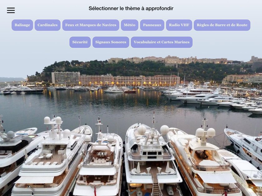 Яхтенный порт Монако