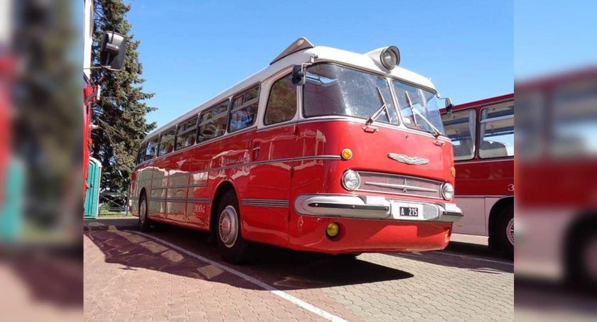 Икарус 55 Люкс