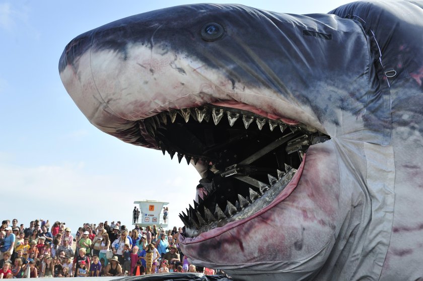 Акула МЕГАЛОДОН