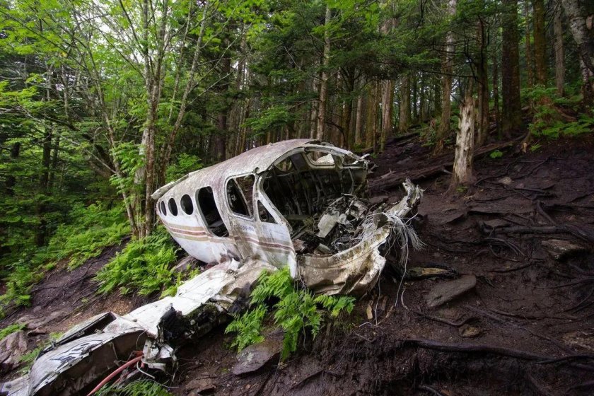 Разбитый самолет в джунглях