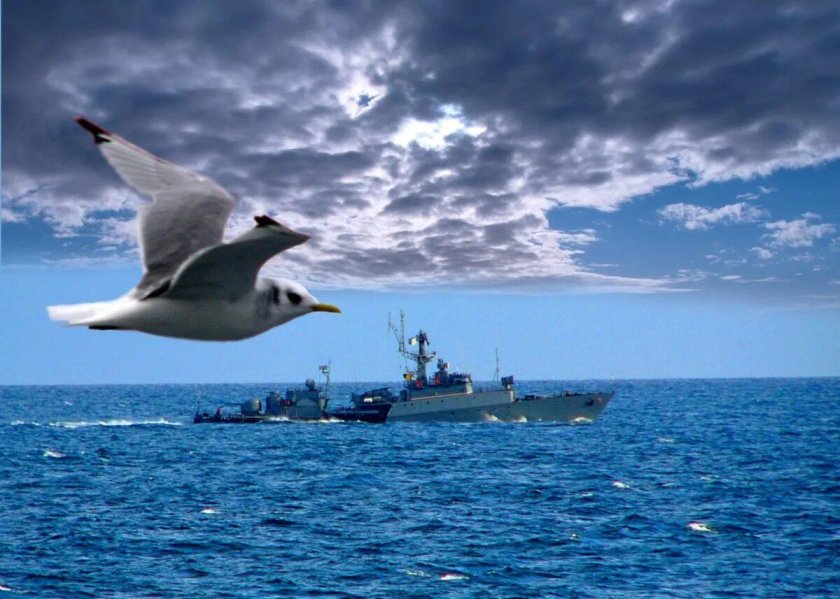 Корабль Альбатрос