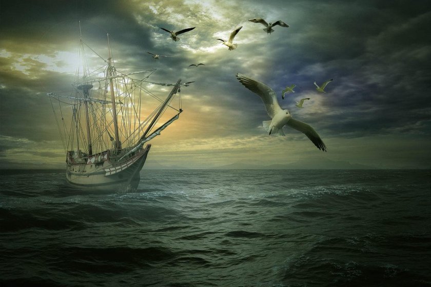 Картина по номерам 40x50 см Paintboy "парусник и Чайка" - PB-gx31197