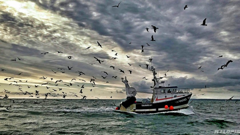Чайки, корабль и море