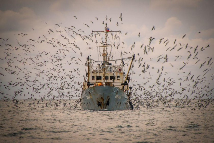 Рыбацкие корабли в море