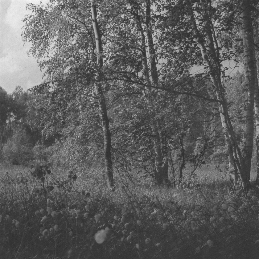 Motorama альбомы