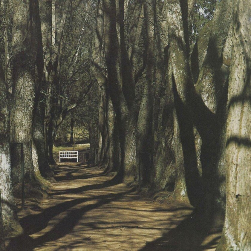 Motorama before the Road