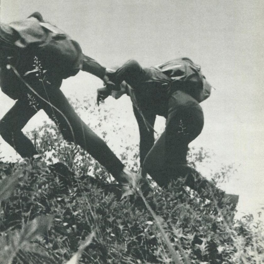 Motorama альбомы