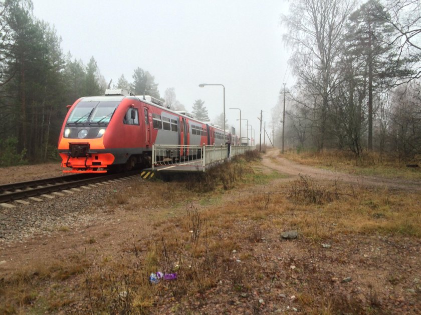 Тарасовское Ленинградская область
