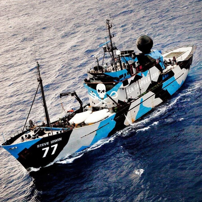 Sea Shepherd Стив Ирвин