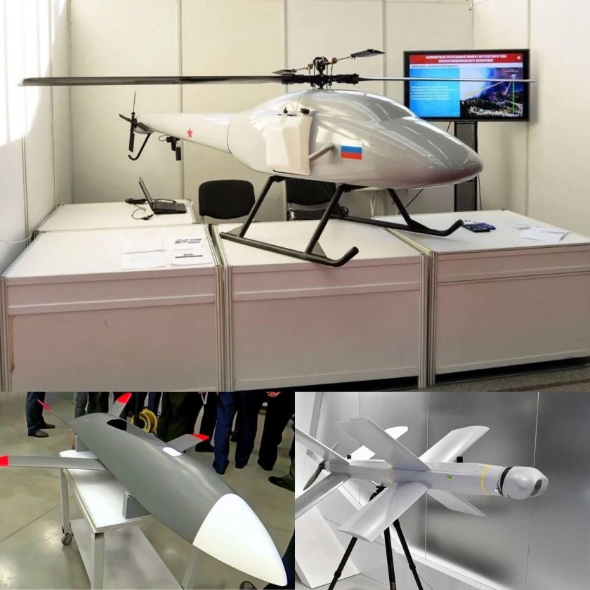 Дозор 100 БПЛА