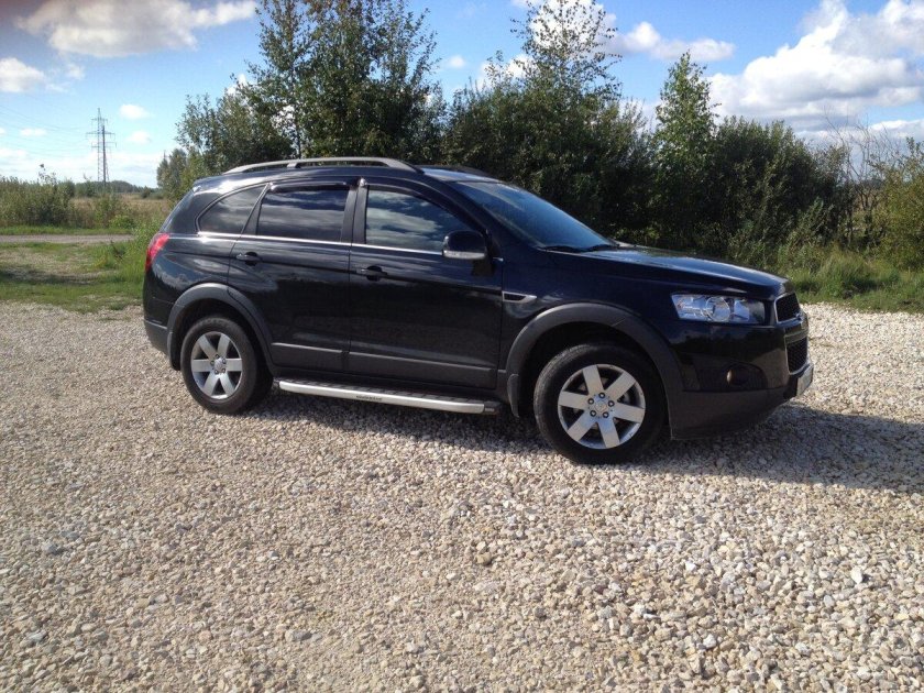 Каптива черная