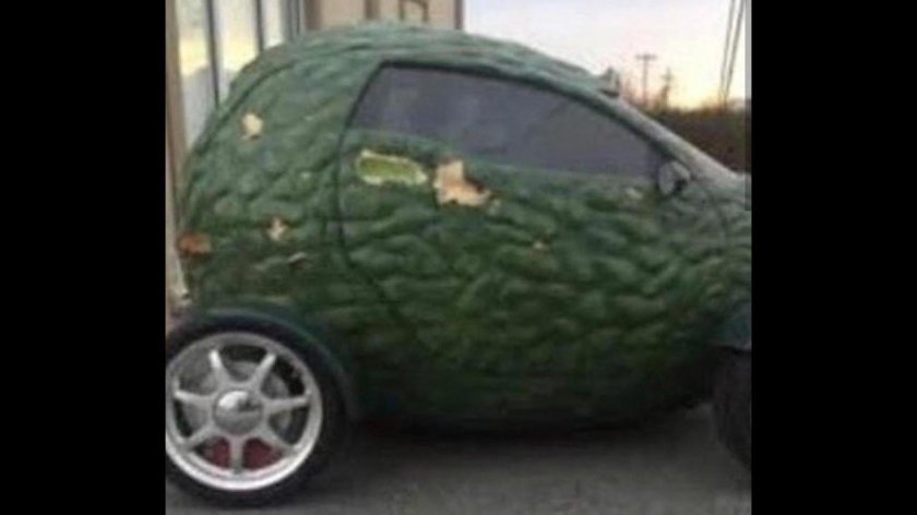 Автомобиль авокадо
