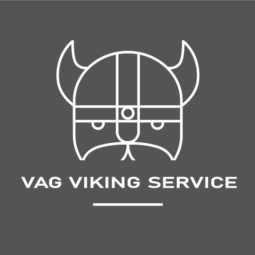 Викинг сервис