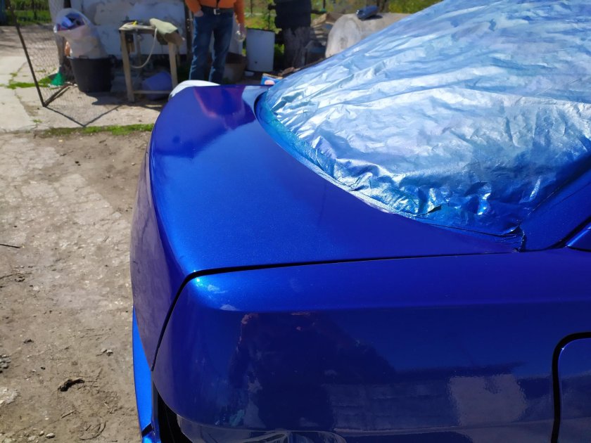 Цвет мускари 426