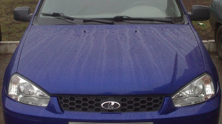 Калина универсал мускари