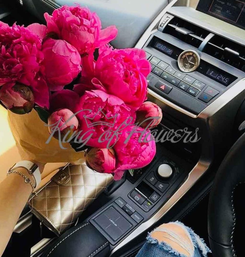 Пион Мерседес