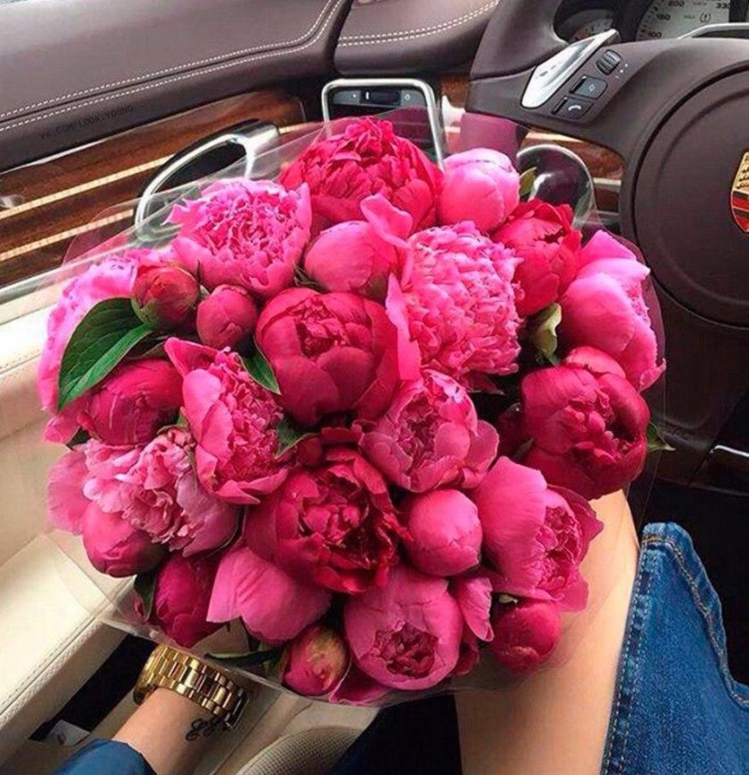 Букет пионов