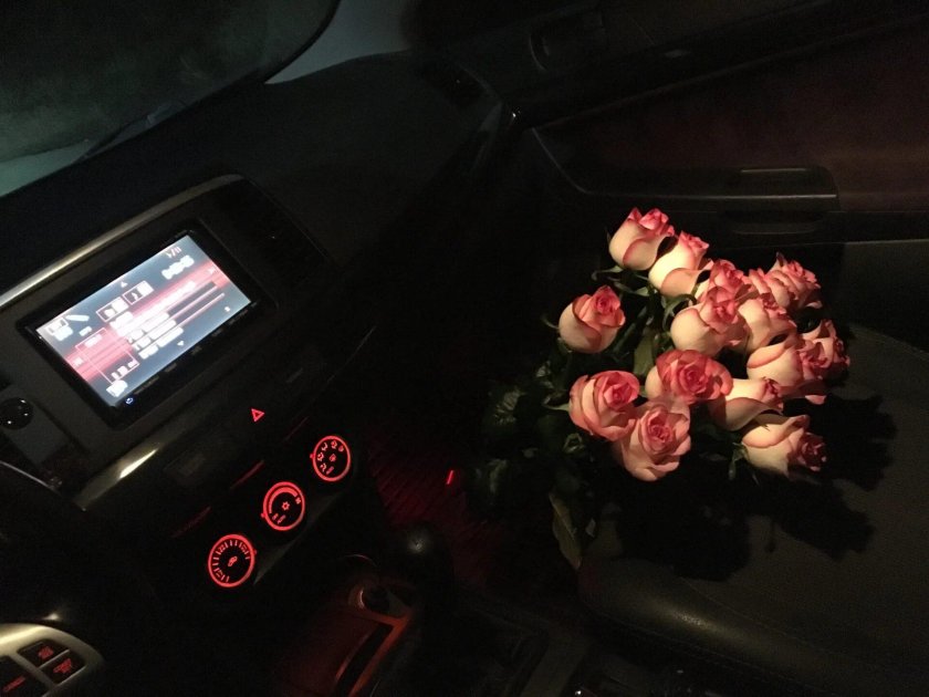 Розы в Митсубиси Лансер 10