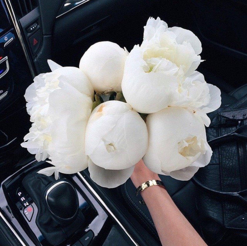 Пионы букет в машине