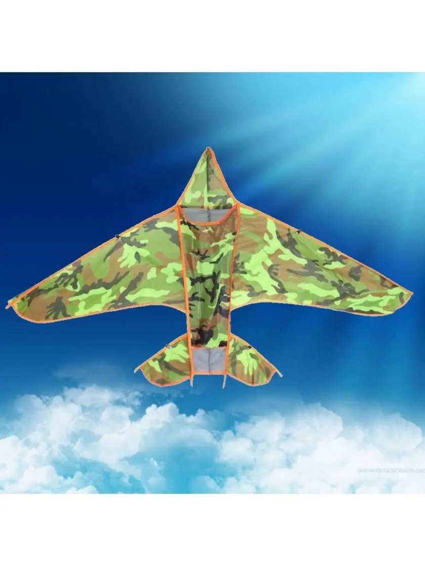 Летающий змей самолет