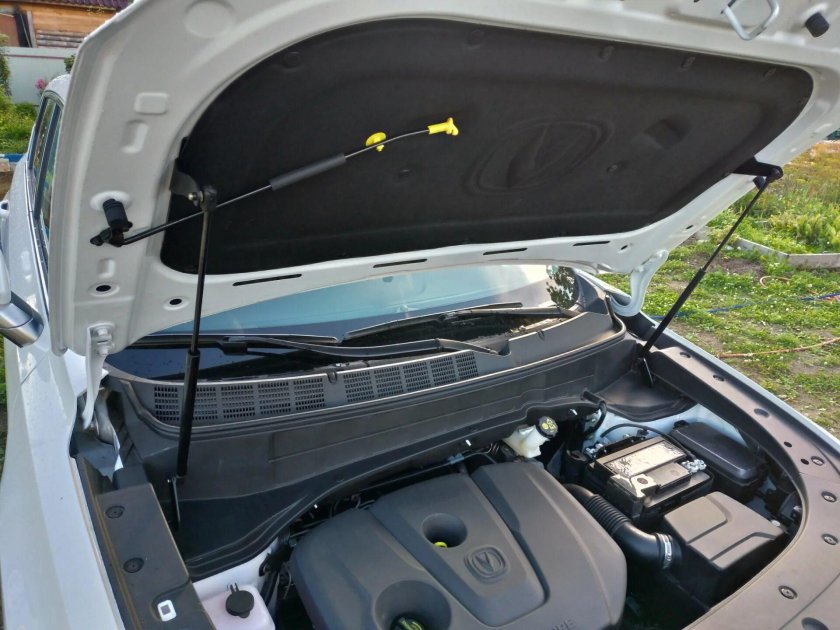 Газовые упоры Changan CS 55 Plus