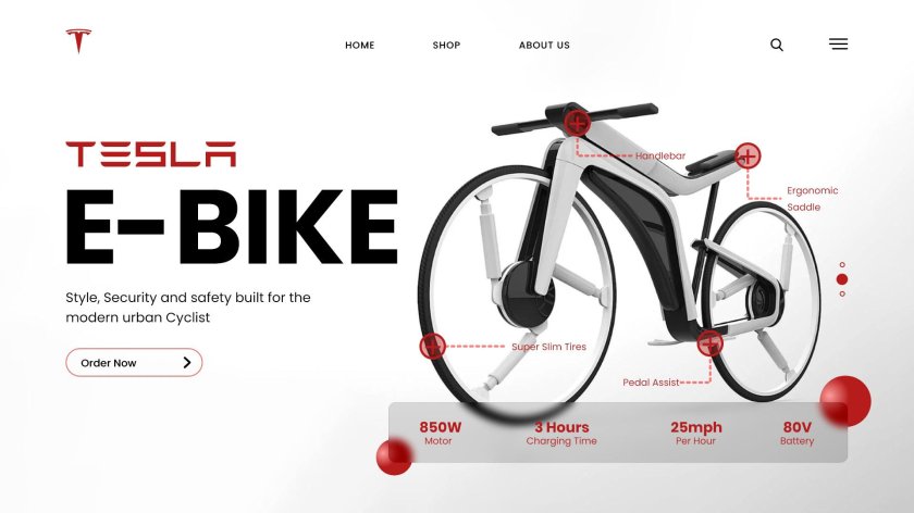 Tesla e-Bike