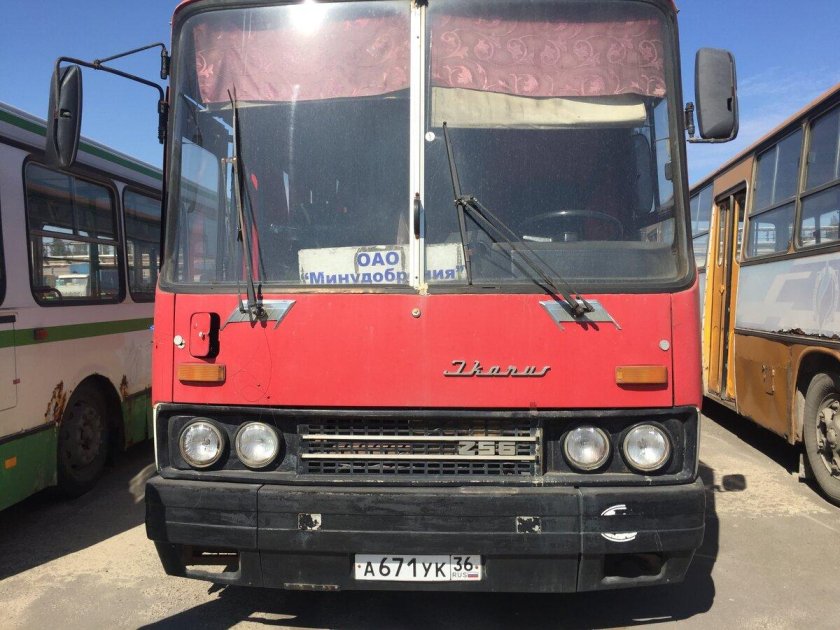 Икарус 256 1990