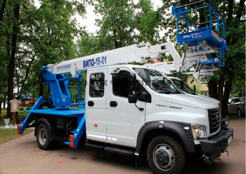 ВИПО 18 01 газон Некст