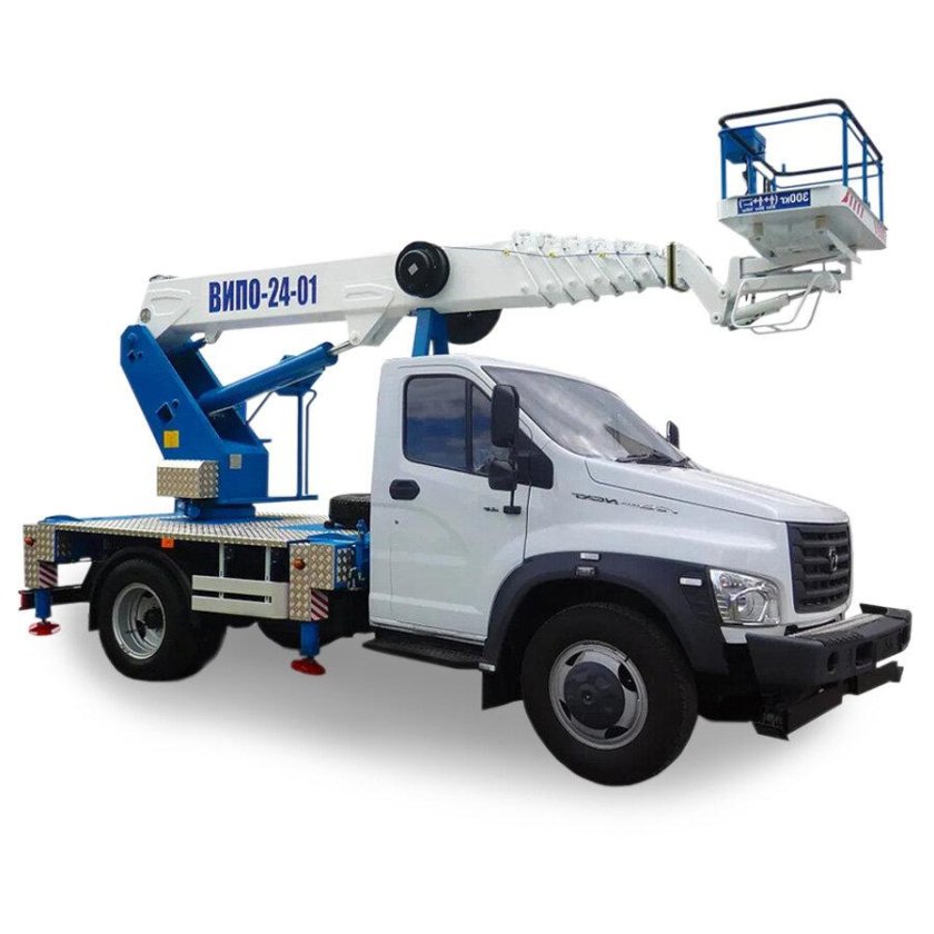 ВИПО 24 01 газон Некст