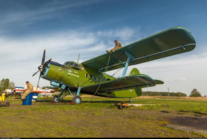 Кукурузник ан-2 пассажирский