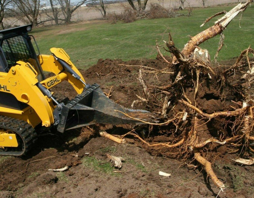 Корчевание мелколесья