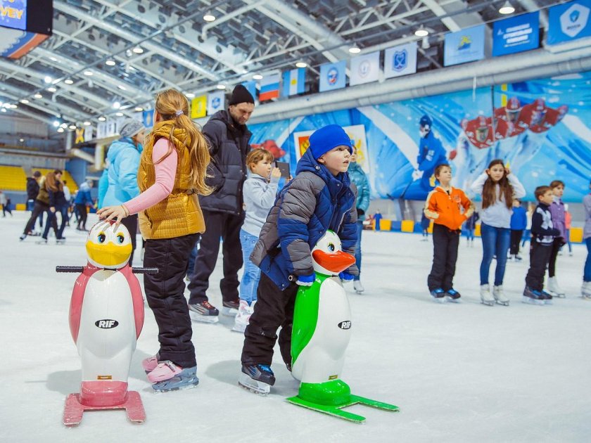 Волга-спорт-Арена Ульяновск каток