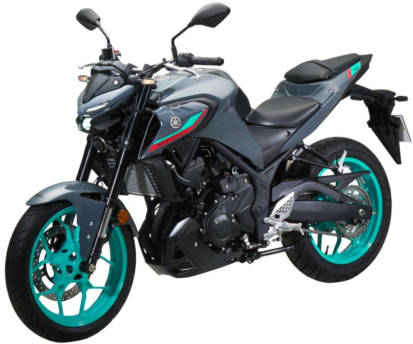 Yamaha MT 25