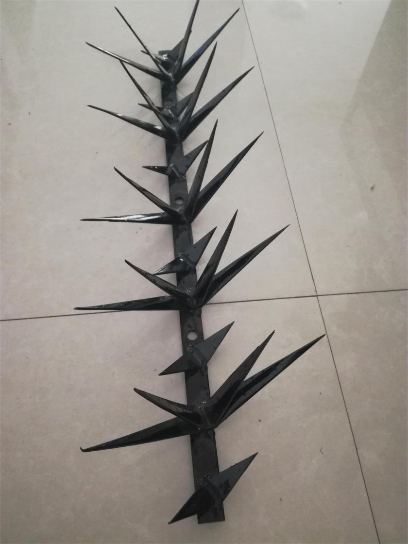 Шипы на забор