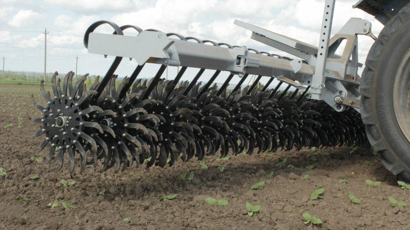 Борона мотыга