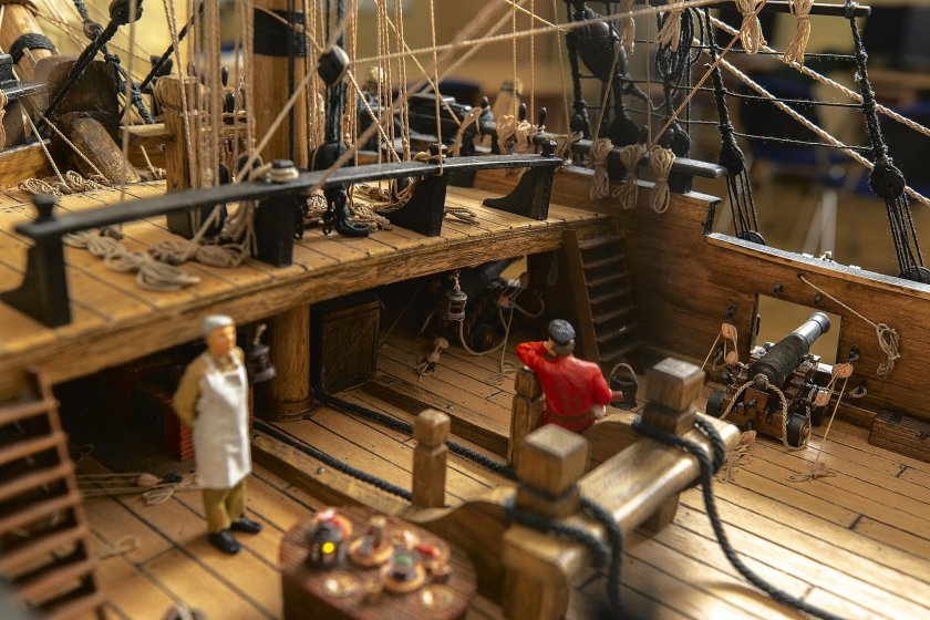 Шнява фаворитка