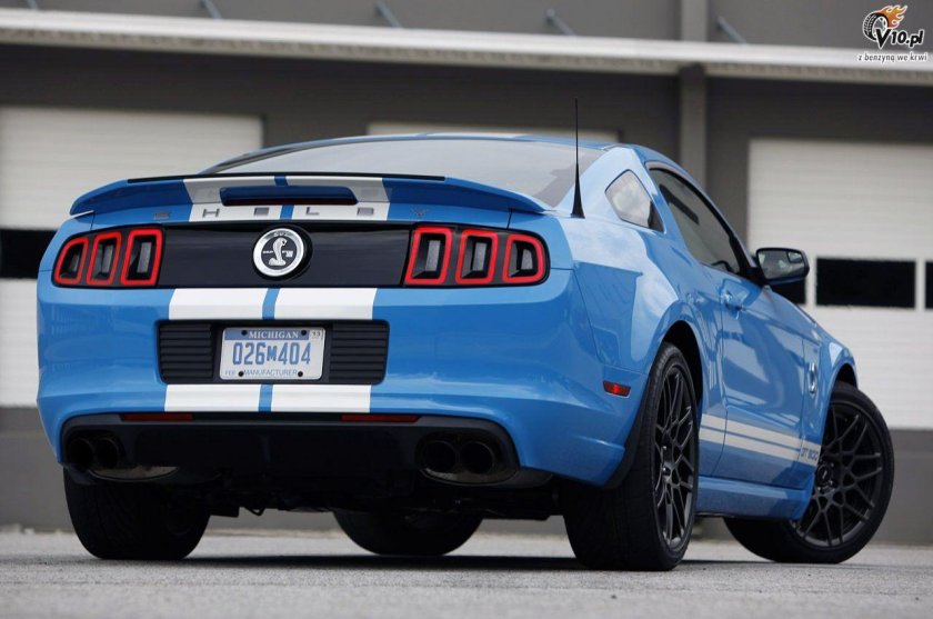 Ford Mustang Shelby gt500 сзади