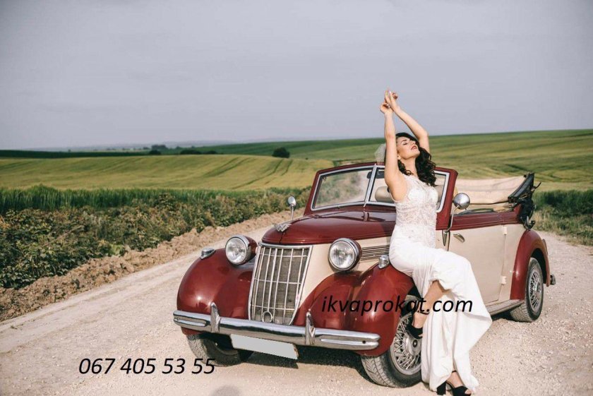 Вандерер w24