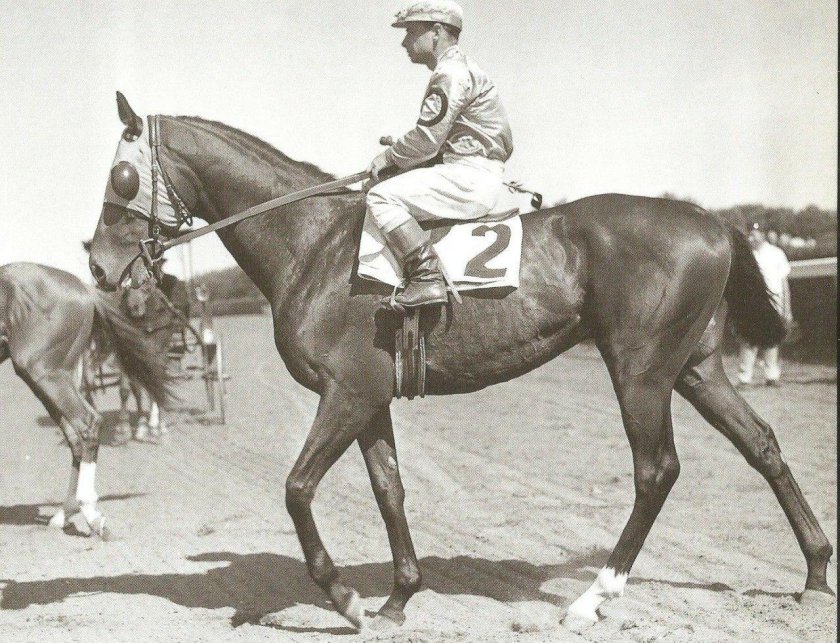 Знаменитые лошади