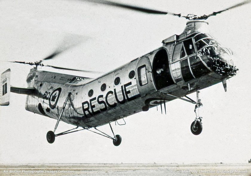 Piasecki h-21 Shawnee (1/33 картон)