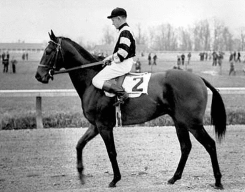 War Admiral Horse