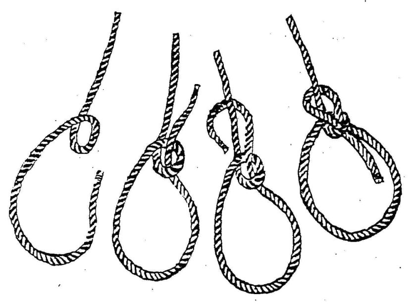 Беседочный узел булинь