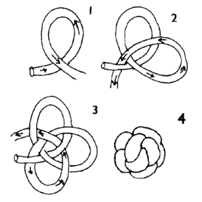 Узел Обезьяний кулак пошагово