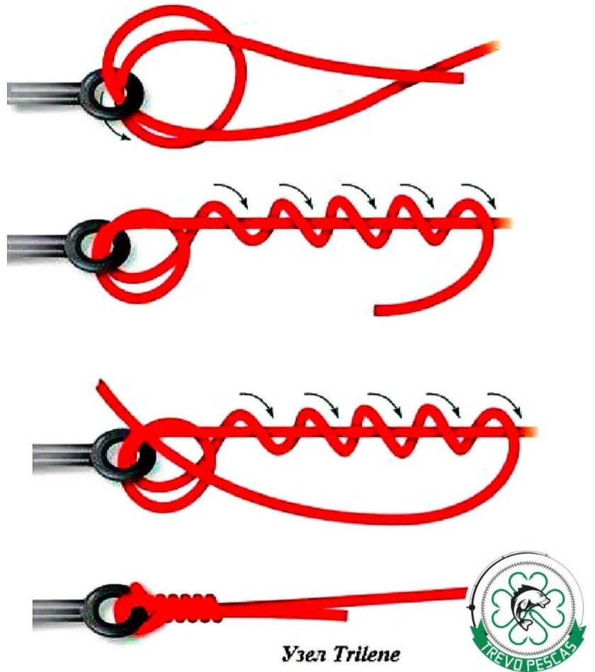 Рыболовные узлы для плетенки Паломар