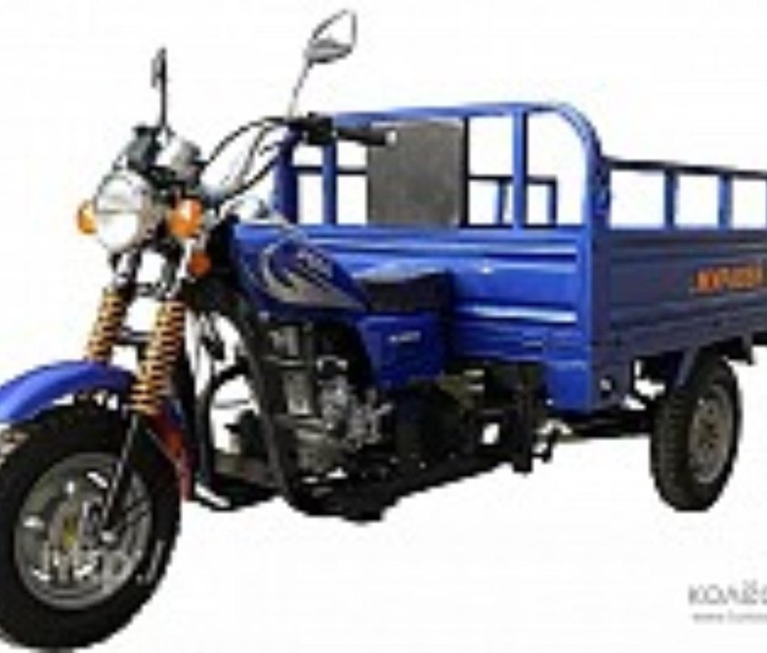 Грузовой трицикл муравей