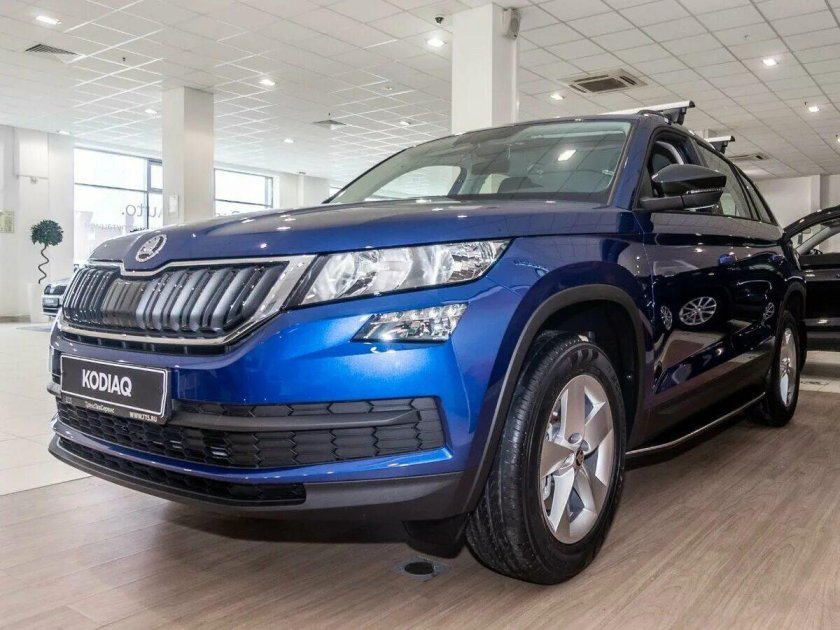 Skoda kodiaq 2016 — 2022 i серый